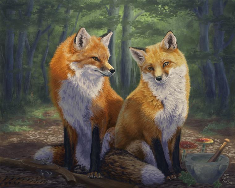Two Foxes