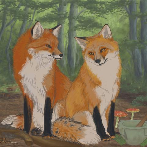 Two Foxes local color